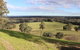 Down To Earth Farm Retreat - thumb 8