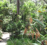 Dunns Creek Downs Nature Stay - Accommodation Resorts