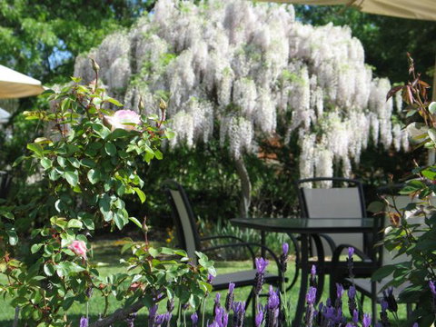 Golden Chain Wine Village Motor Inn - Accommodation Resorts 5