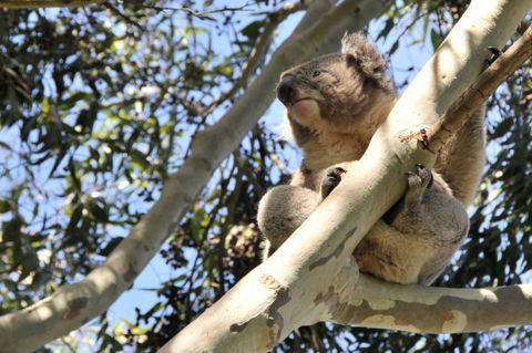 Harmony At Tower Hill - Accommodation Resorts 7