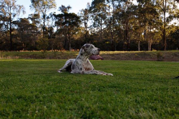 Quorrobolong NSW Accommodation Resorts