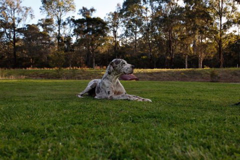 Hunter Valley Retreat - Accommodation Resorts 0