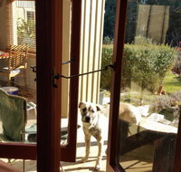 Mara Ponds Branxholm - Accommodation Resorts