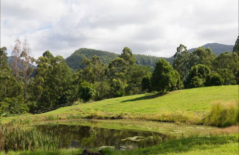 Nimbin Waterfall Retreat - Accommodation Resorts 3