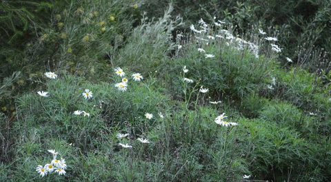 Northam Caravan Park - Accommodation Resorts 2