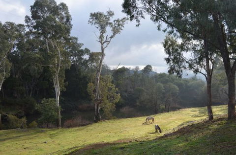 Nug Nug Wah Homestead - Accommodation Resorts 2