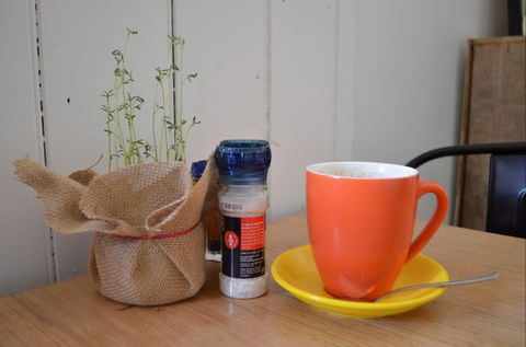 Otway Central - Accommodation Resorts 3