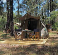 Tall Trees Camping on the Great Ocean Road - Accommodation Resorts