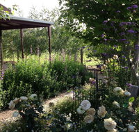 Wandana Bed and Breakfast - Accommodation Resorts
