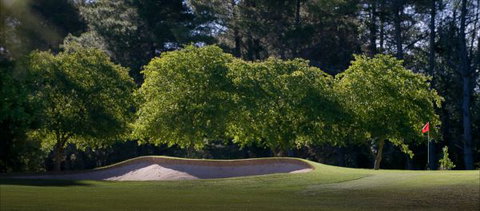 Yowani Country Club - Accommodation Resorts 4