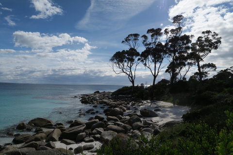 Binalong Bay Beach Shack - Accommodation Resorts 0