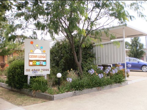 Cedar Lodge Motel - Accommodation Resorts 0