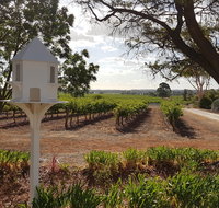 'In The Vines' Guest Cottage - Accommodation Resorts