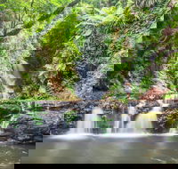 O'Reilly's Rainforest Retreat - Accommodation Resorts