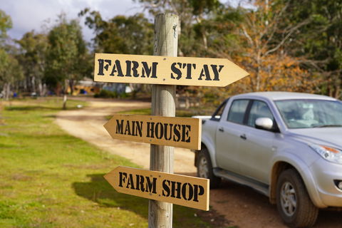 Tiandi Wildlife Sanctuary Farm Stay - Jambalaya Cottage - Accommodation Resorts 5