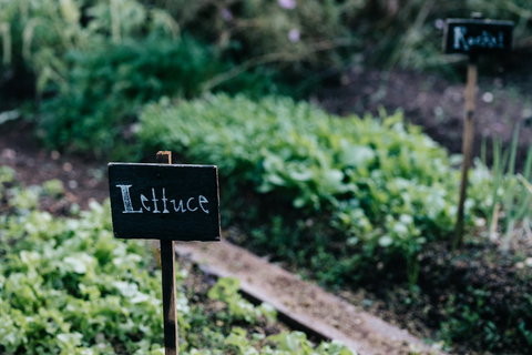 Acre Of Roses - Accommodation Resorts 9