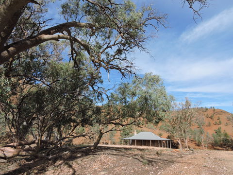 Alpana Station - Accommodation Resorts 6