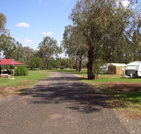 Dunedoo Caravan Park - Accommodation Resorts