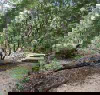 Eungella National Park camping - Accommodation Resorts