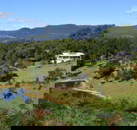 Golden Wattle - Kiaroo - Accommodation Resorts