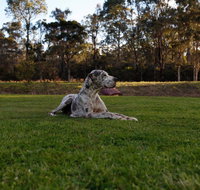 Hunter Valley Retreat - Accommodation Resorts