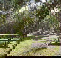 Illaroo group camping area - Accommodation Resorts