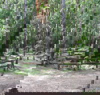 Six Mile Creek campground - Accommodation Resorts