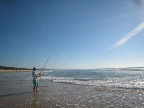 The View In Scotts Head - Accommodation Resorts 9