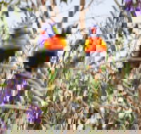 Twilight Grove Farm Bed and Breakfast - Accommodation Resorts