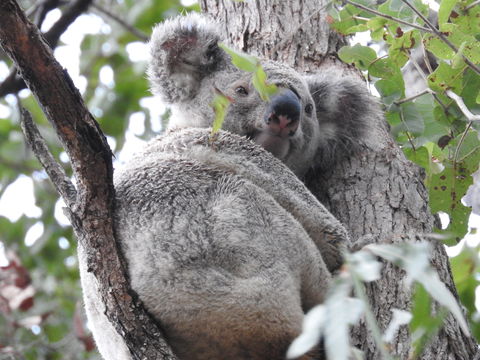 Twilight Grove Farm Bed And Breakfast - Accommodation Resorts 1