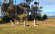 Waterfront Retreat At Wattle Point - thumb 2