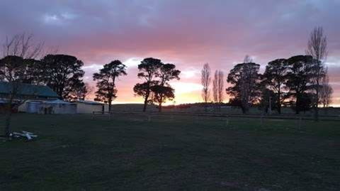 Braidwood Showground - Caravans And Camping - Accommodation Resorts 0