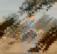 Bullo River Station - Accommodation Resorts