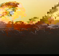 Clandulla Cottages  Farmstay - Accommodation Resorts