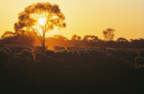 Clandulla Cottages & Farmstay - Accommodation Resorts 0