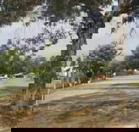 Country Acres Caravan Park - Accommodation Resorts