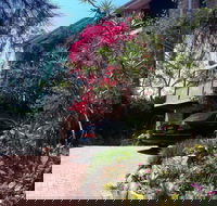 Linley House Bed and Breakfast - Accommodation Resorts