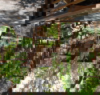 Melaleuca Surfside Backpackers - Accommodation Resorts