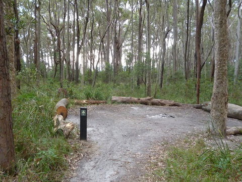 Meroo Head Campground - Accommodation Resorts 0