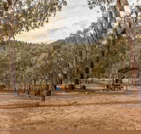 Pinch River campground - Accommodation Resorts