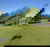 Pine Country Caravan Park - Pet Friendly - Accommodation Resorts