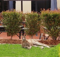 Alpha Canberra Hotel - Accommodation Resorts