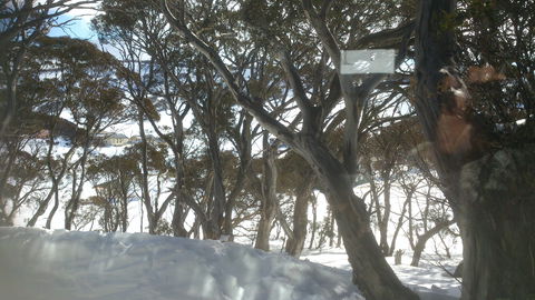 Barina Milpara Lodge - Accommodation Resorts 1