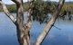 Bumberry Dam - thumb 0