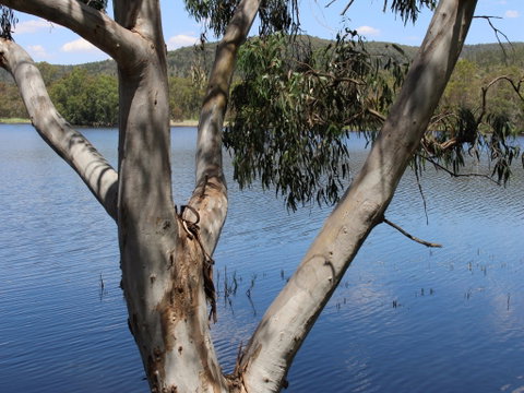 Bumberry Dam - Accommodation Resorts 0