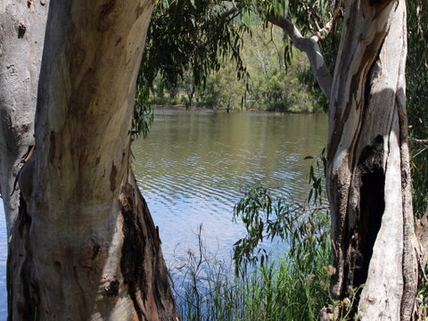 Bumberry Dam - Accommodation Resorts 2