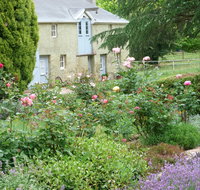 Godolphin Country Accommodation - Accommodation Resorts