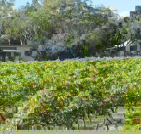 Just Red Wines Vineyard Cabins - Accommodation Resorts