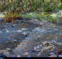 Toorooroo campground - Accommodation Resorts