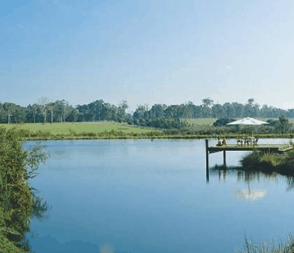 Forest Rise Eco Retreat - Accommodation Resorts